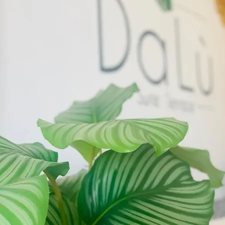 Apartmán Dalu Suite Bari